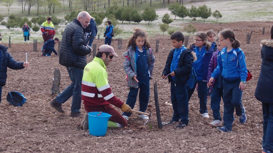 Niños plantando árboles