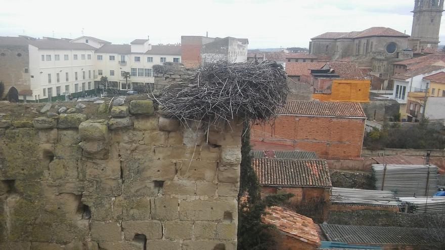 Traslado nido cigüeña