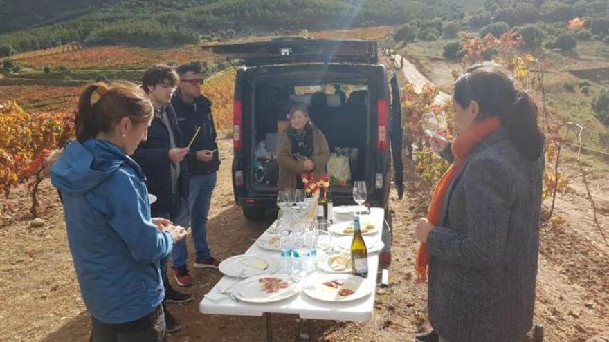 Serie The wine van en La Rioja