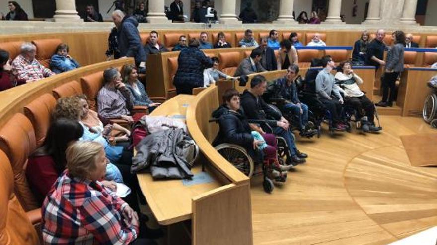 parlamento, dia de la discapacidad