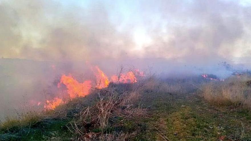 Incendio Forestal en Baños de Río Tobía