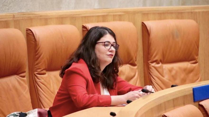 Raquel Romero, portavoz podemos, Parlamento, debate investidura