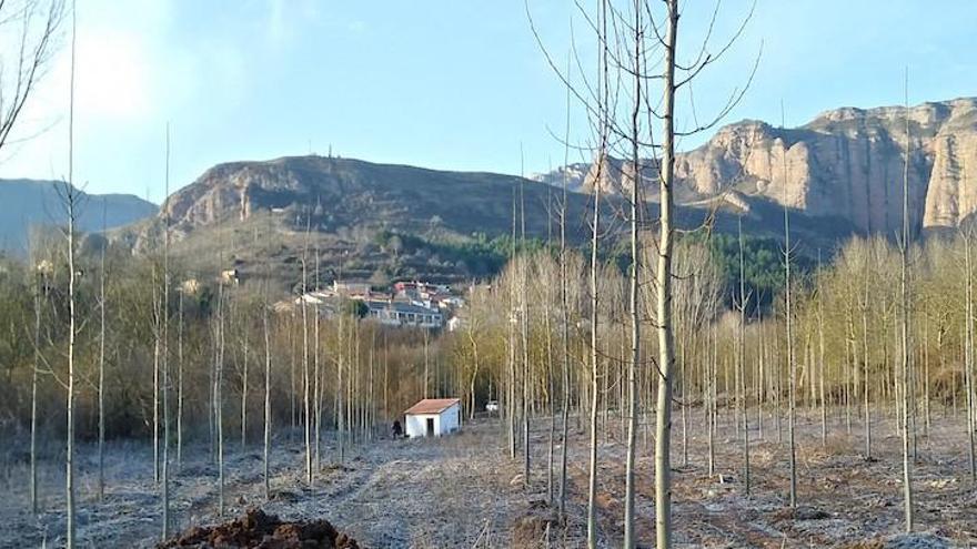 Bobadilla, agua, suministro, Gobierno de La Rioja