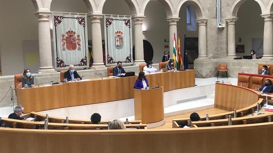 Concha Andreu en el Parlamento
