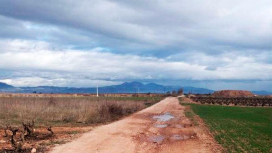 camino agrícola en Villamediana