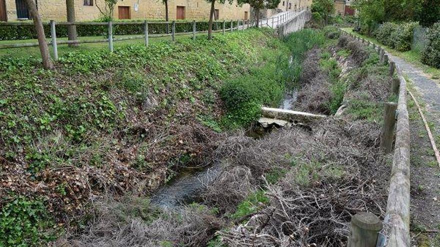 restos de poda en el río Ea en Sajazarra