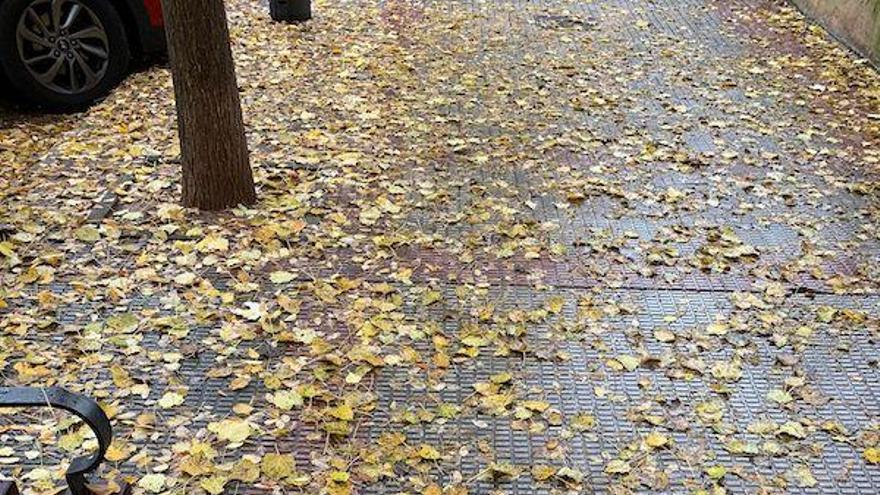 hojas en la calle en Logroño