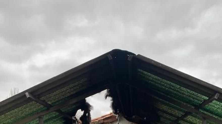 tejado, Logroño, amianto