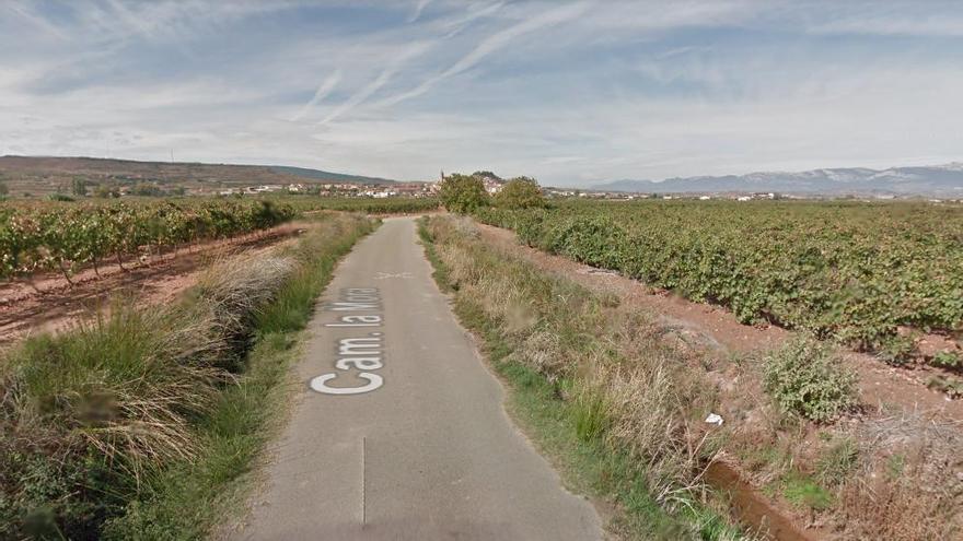 Camino de la Mora, Navarrete, Entrena