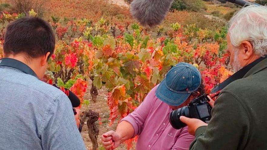 Documental sobre el vino de Rioja de José Luis López-Linares