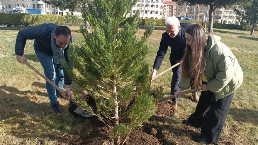 Plantación de árboles por el centenario del Ateneo