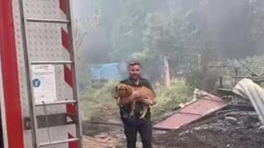 Rescate perro incendio Villamediana